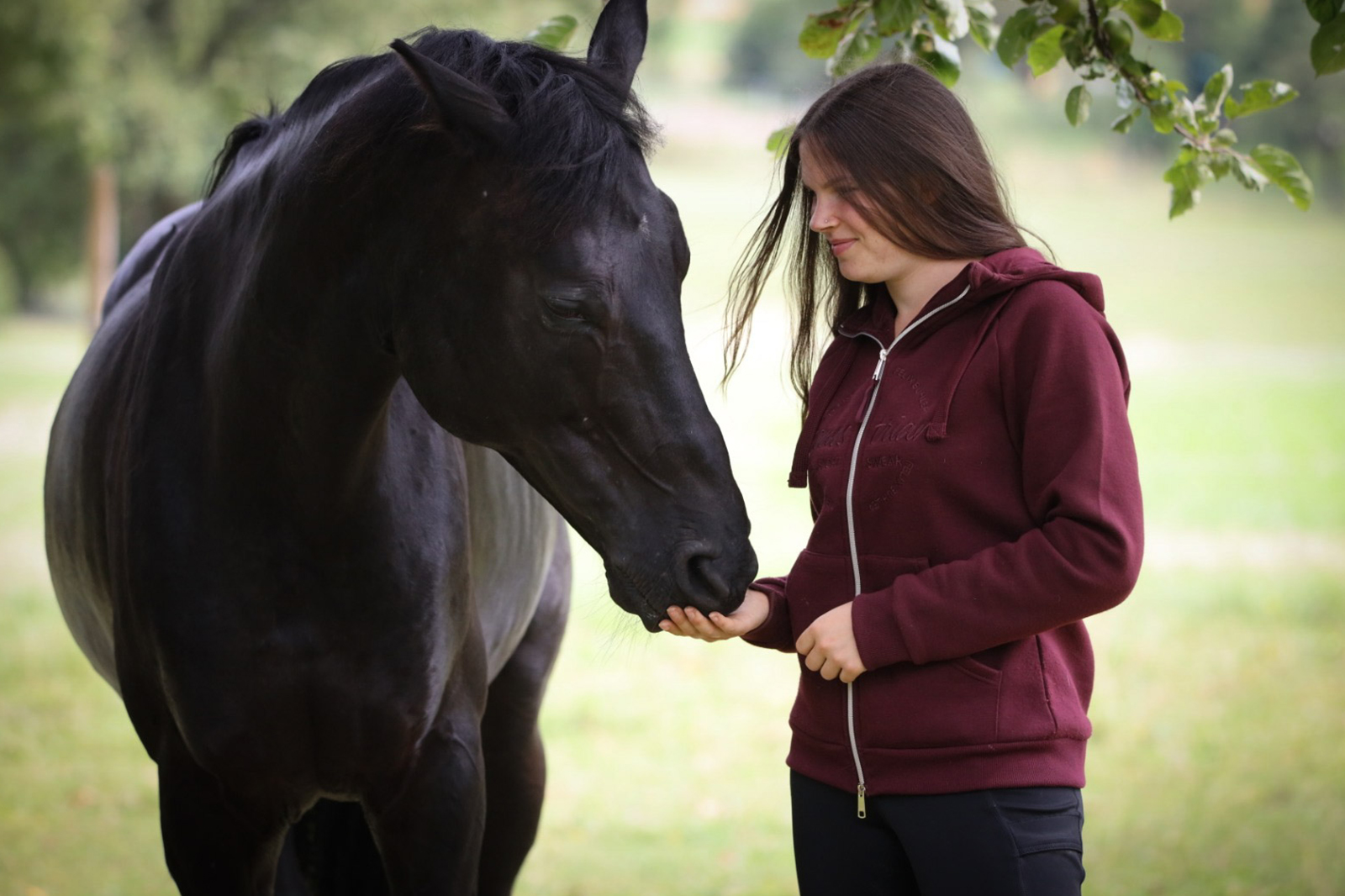 Freiarbeit mit Pferd Bodenarbeit Pferdetraining Stefania Carrara