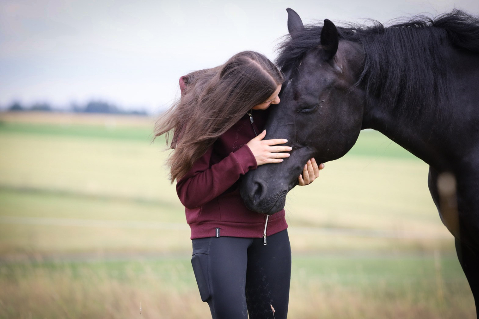 Freiarbeit mit Pferd Bodenarbeit Pferdetraining Stefania Carrara