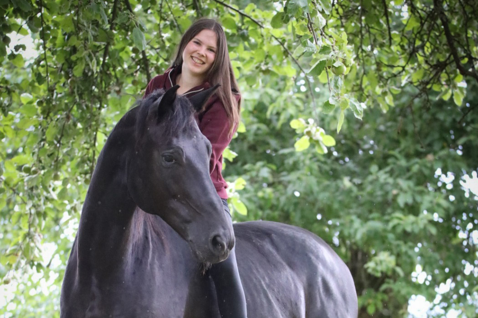 Freiarbeit mit Pferd Bodenarbeit Pferdetraining Stefania Carrara